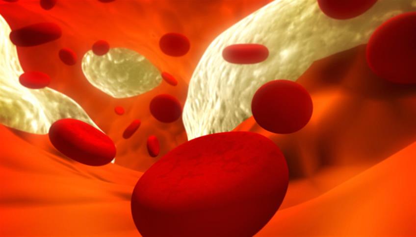 Trigliceridi e Colesterolo Trigliceridi e Colesterolo